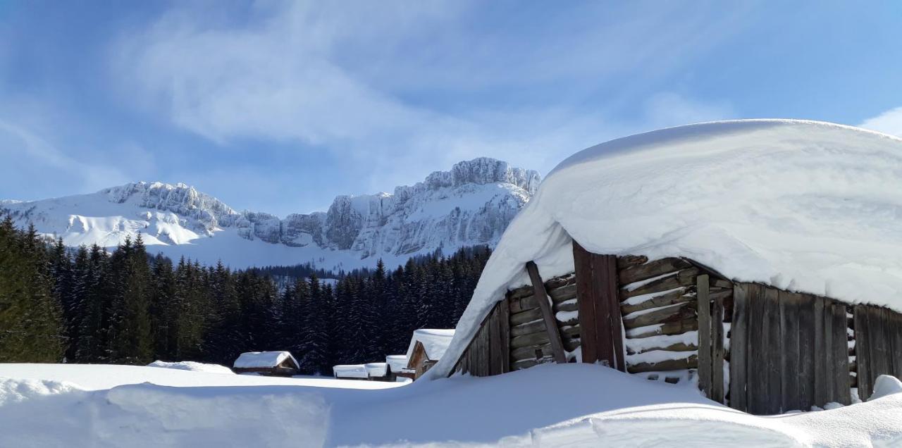 Haus Lerchenreith Appartement Bad Aussee Buitenkant foto